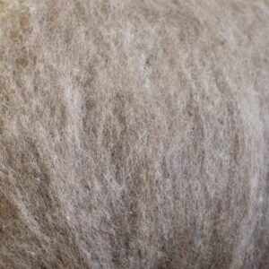 6 Beige
