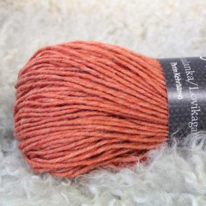 Y22 Persikka (100g)