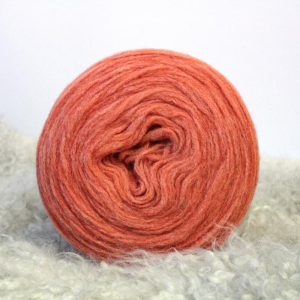 Y22 Persikka (150g)